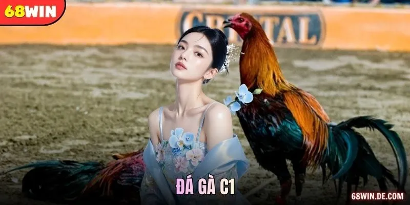 Đá gà C1