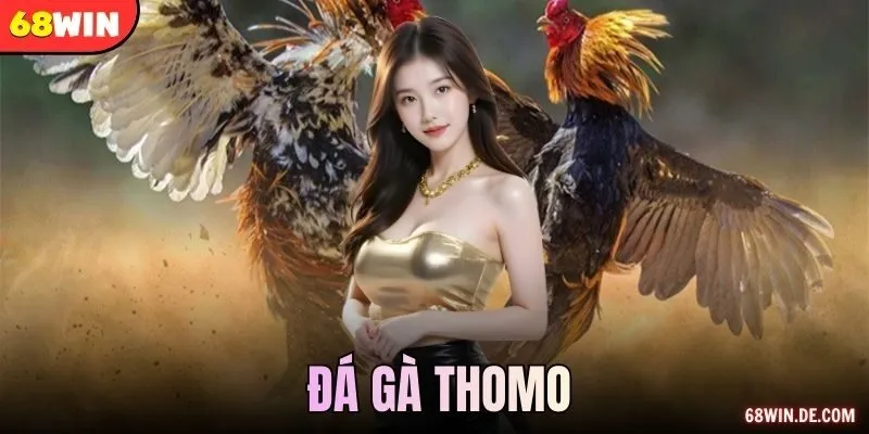 đá gà Thomo