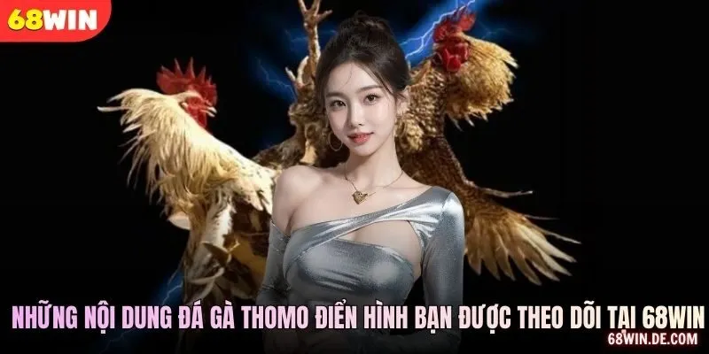 Những nội dung đá gà Thomo điển hình bạn được theo dõi tại 68WIN